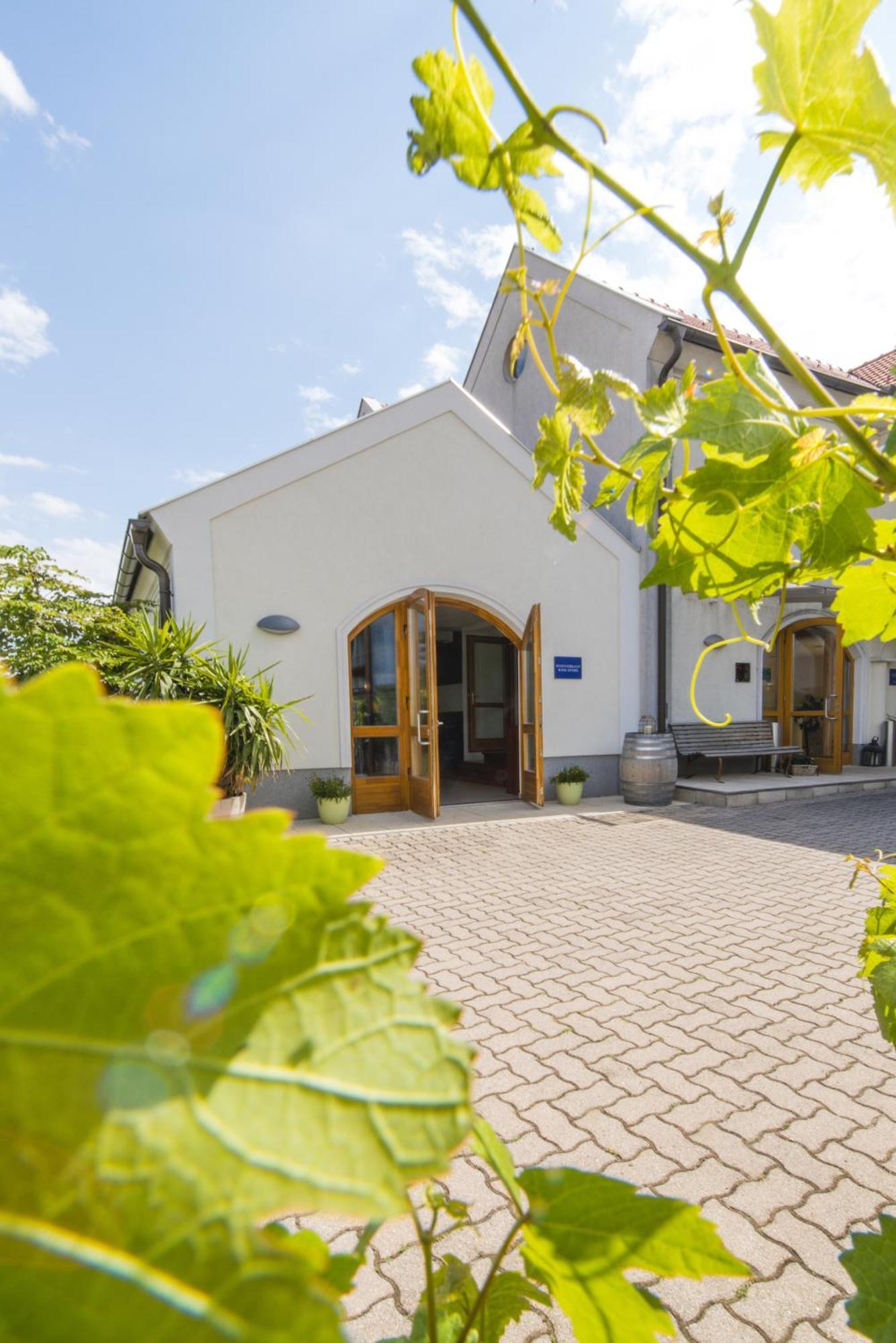 Weingut & Gaestehaus Zum Seeblick - Familie Sattler Hotel Jois Exterior photo